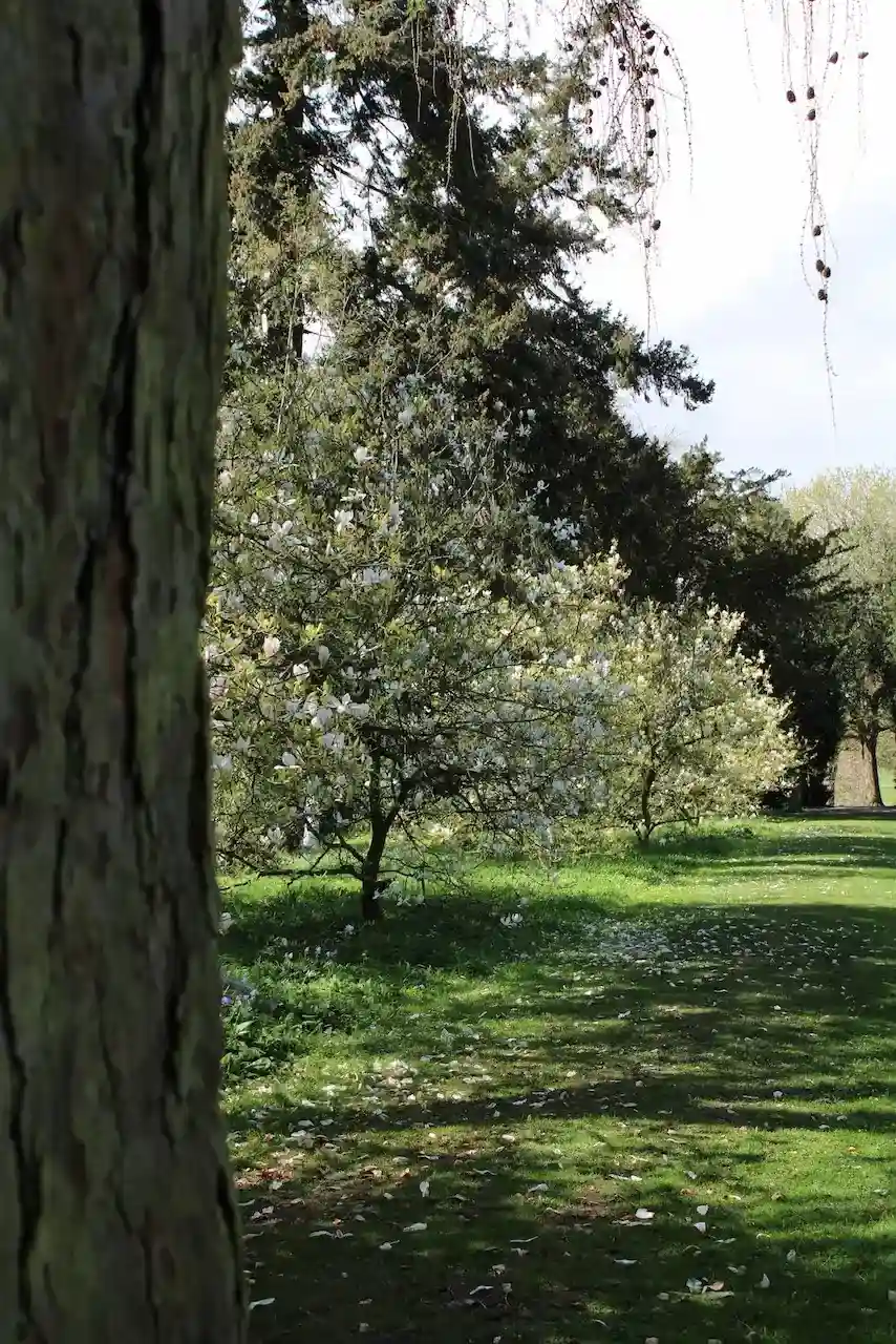 Arboretum landscape at Thorp Perrow