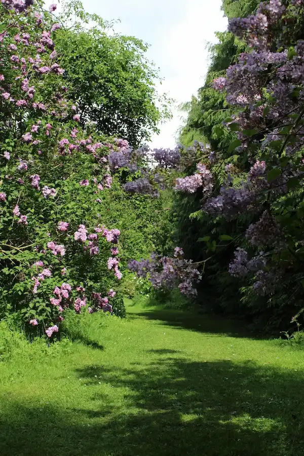Seasonal flowers at Thorp Perrow