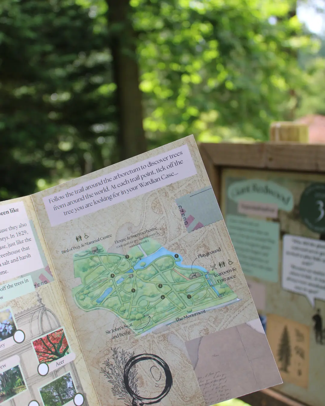 Botanic Explorers - Summer Children's Trail