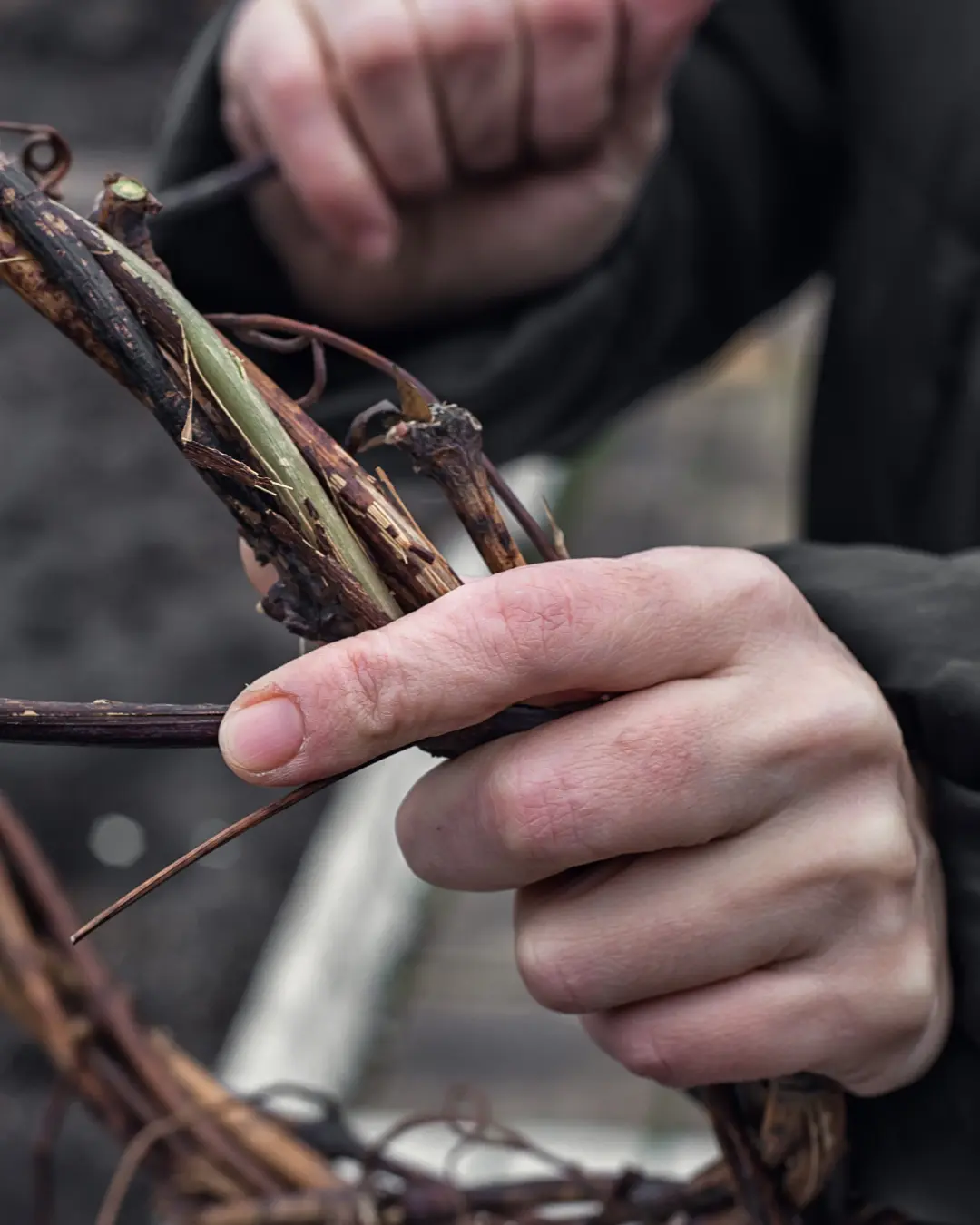 Deer Willow Weaving