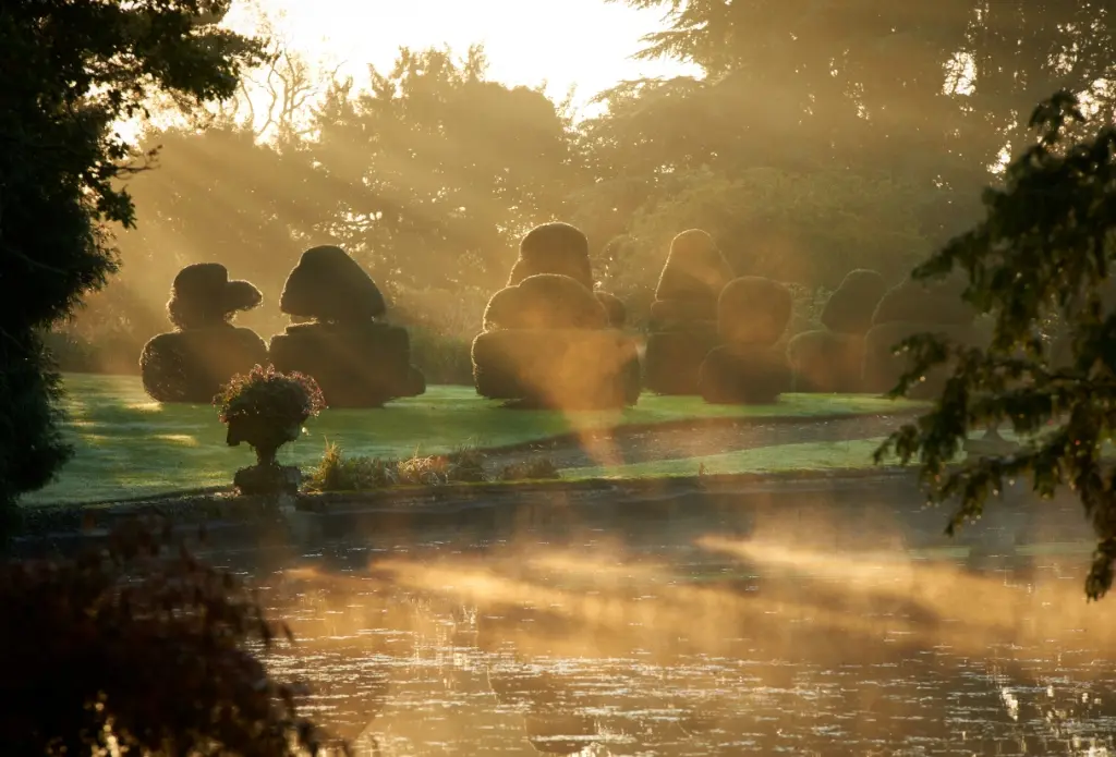 Morninglight 1 at Thorp Perrow
