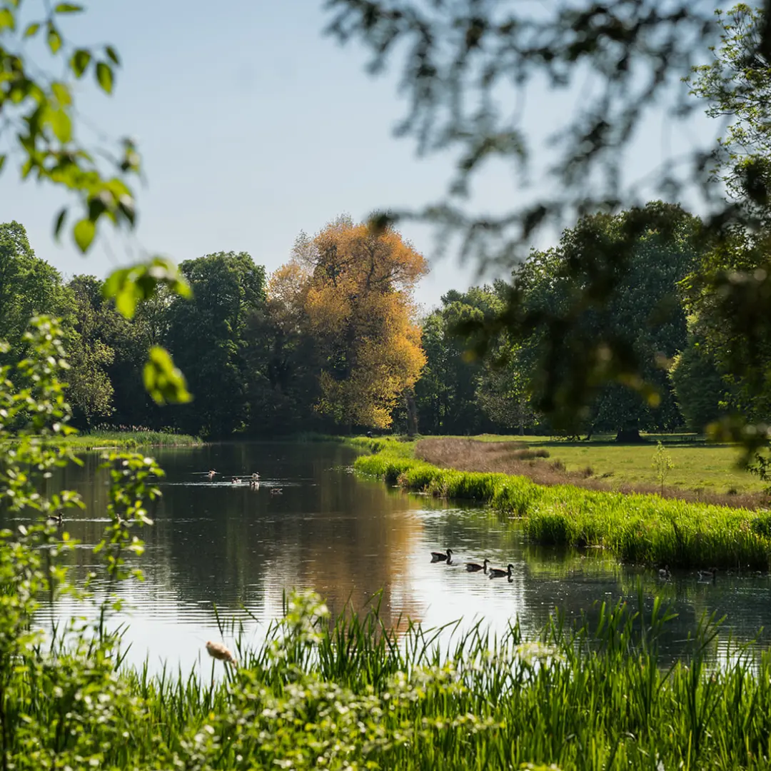 Parkland venue at Thorp Perrow