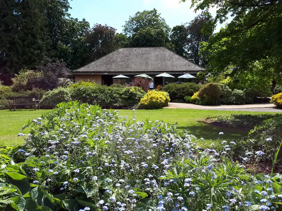 Interior of the Thorp Perrow Tea Room