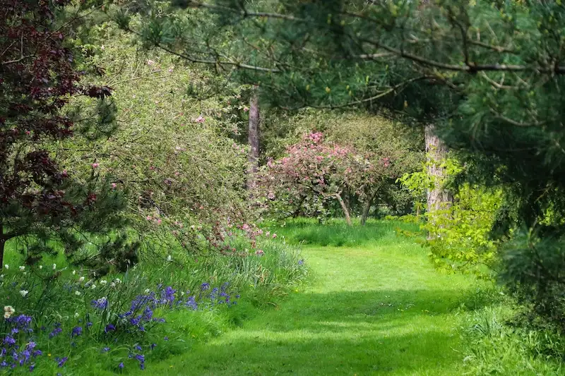 history hero at Thorp Perrow
