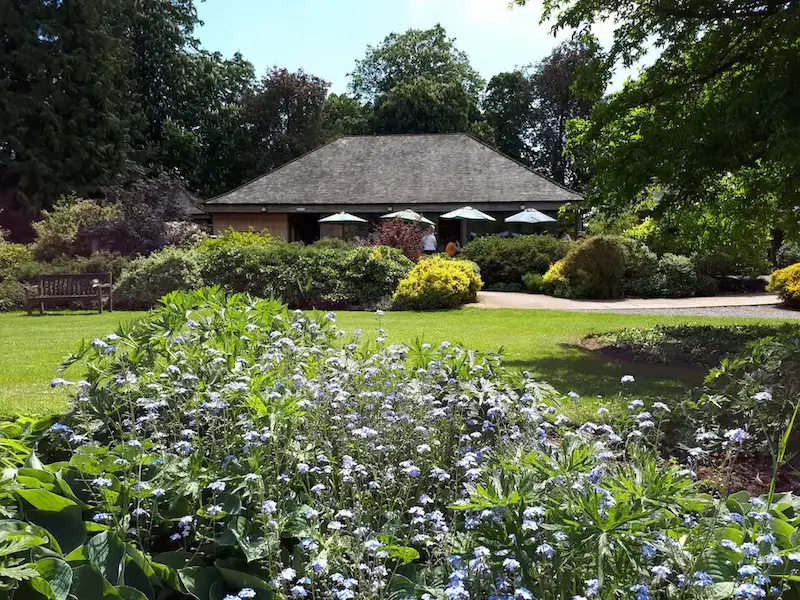 Thorp Perrow Tea Room seating area