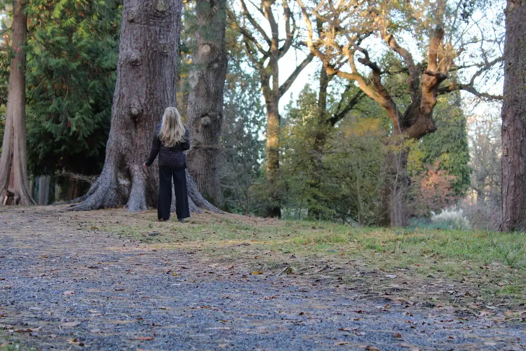 Visitor standing beneath a large tree at Thorp Perrow